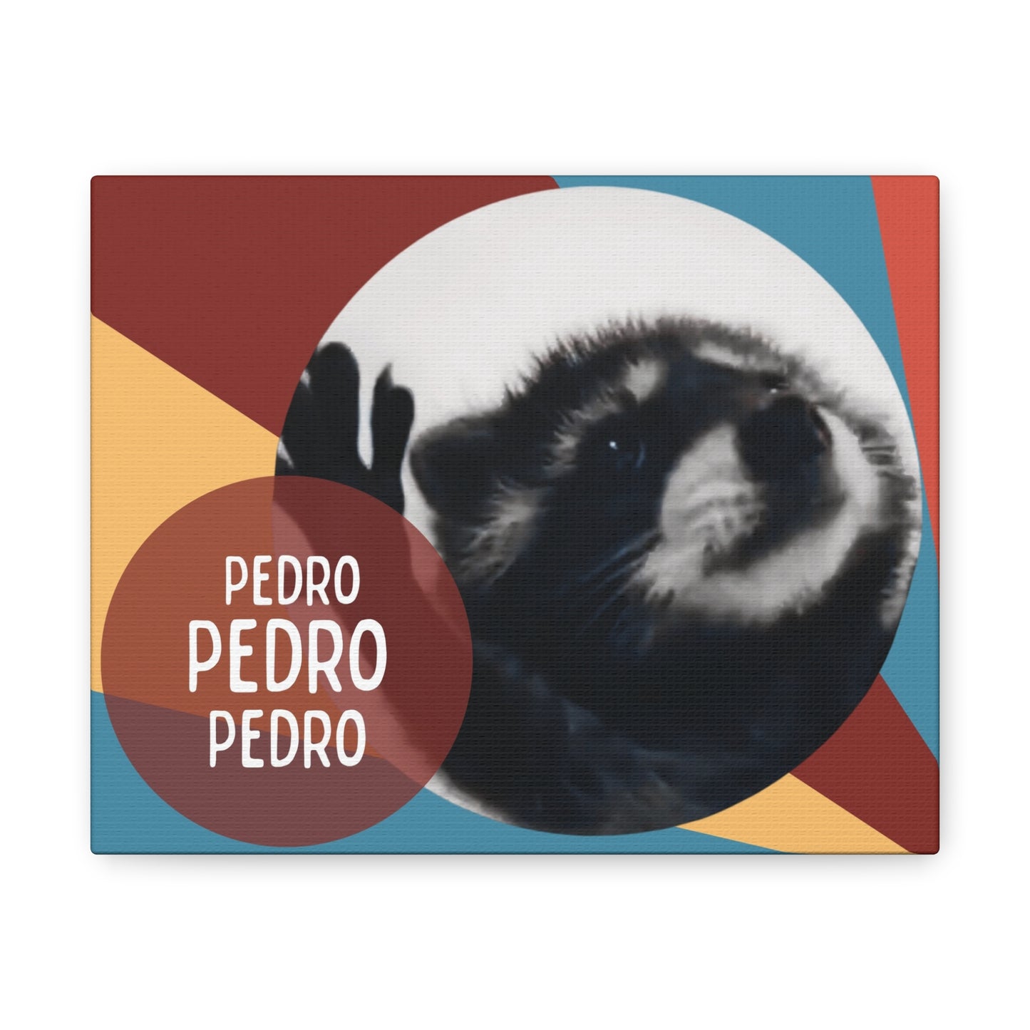 Pedro the Racoon Poster: The cutest raccoon on the internet