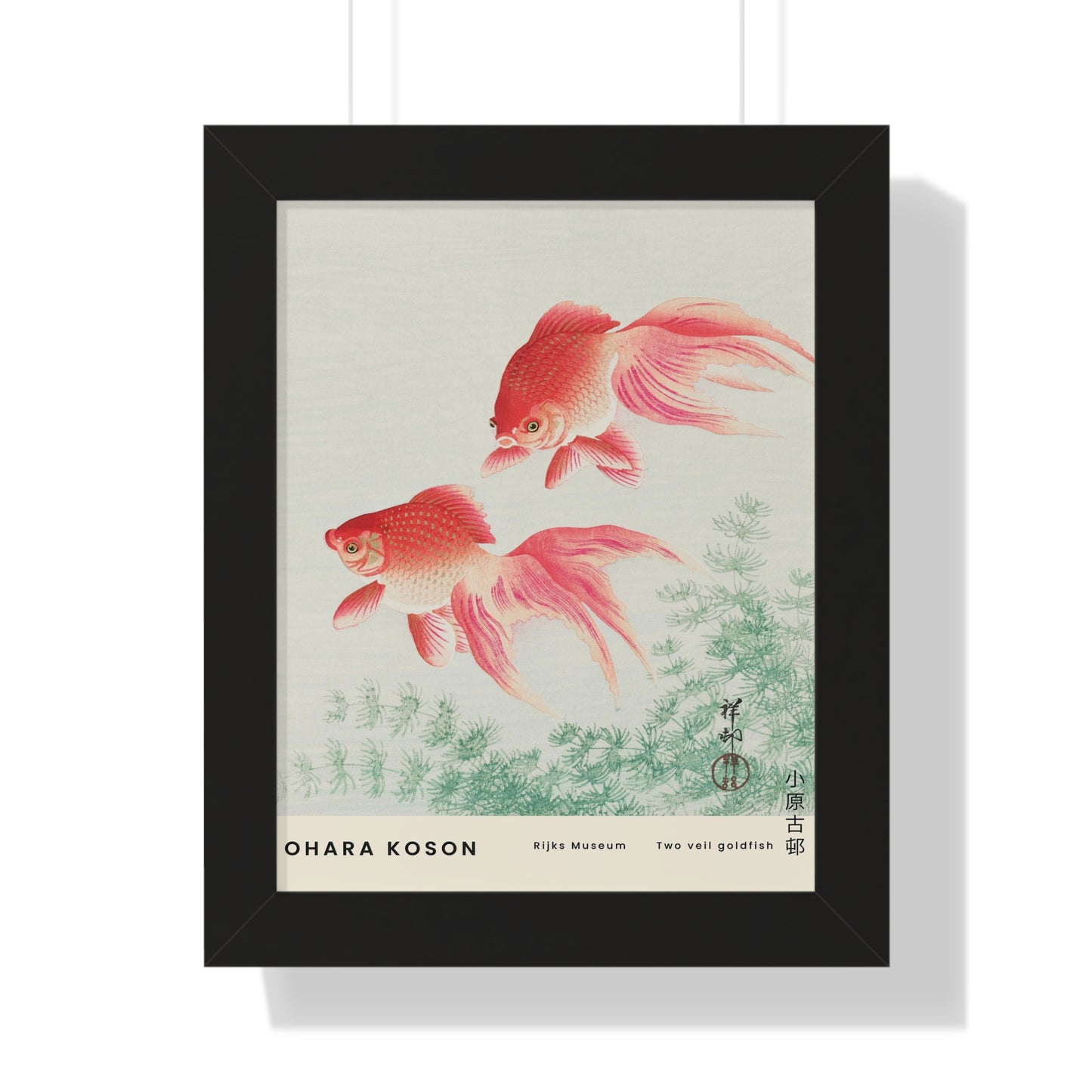 Japanese Poster | Ohara Koson | Two Veil Goldfish