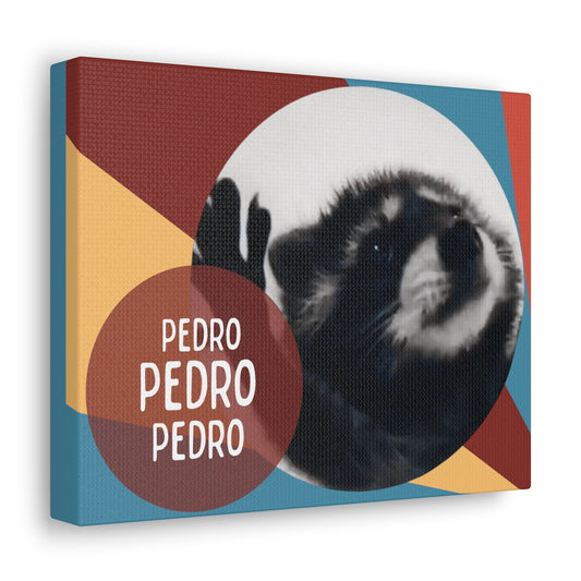 Pedro the Racoon Poster: The cutest raccoon on the internet